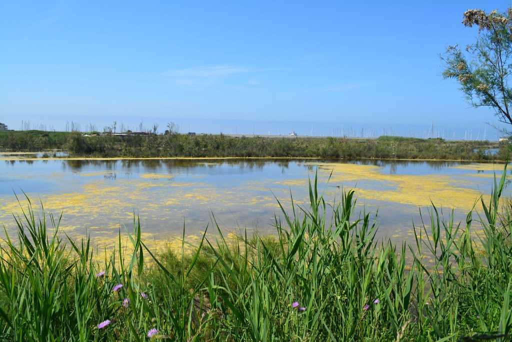 Centro Habitat Mediterraneo